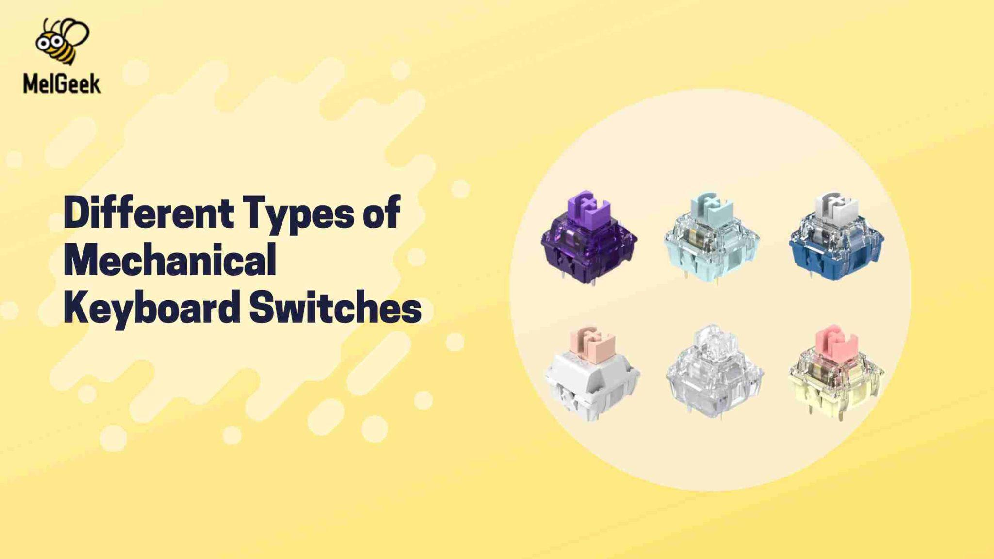 Different Types of Mechanical Keyboard Switches | Explore Varieties of Mechanical Switches