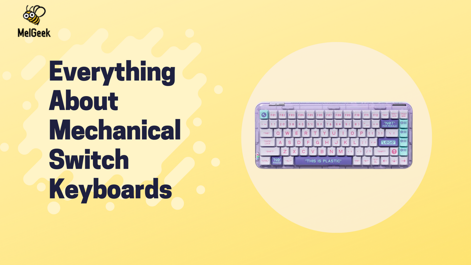 Everything About Mechanical Switch Keyboards: Best Types and Colors for Gaming