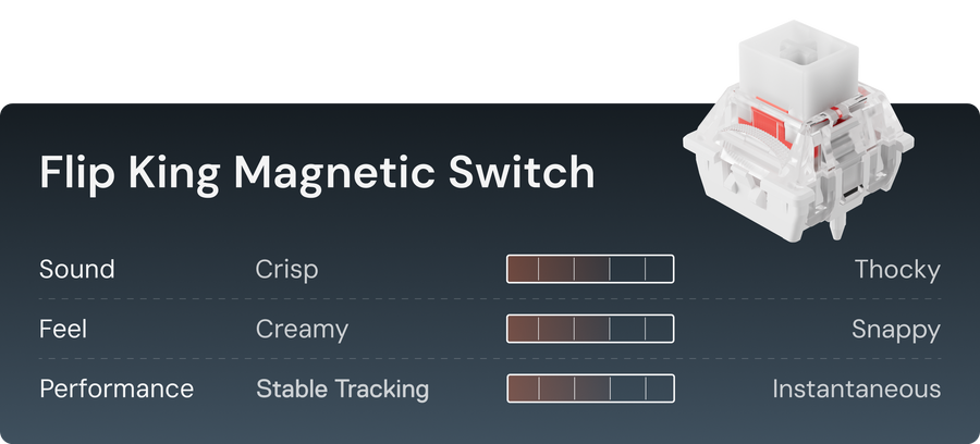 Flip King magnetic switch