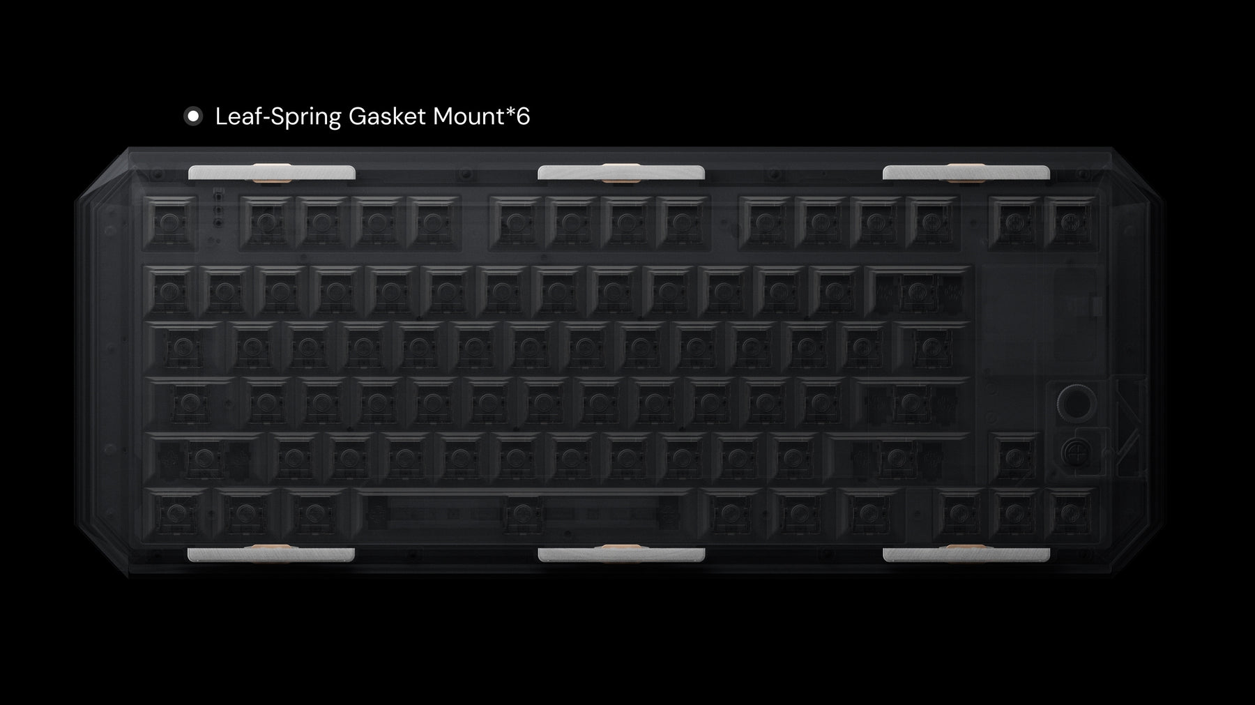 Top-down view of the leaf-spring gasket mount