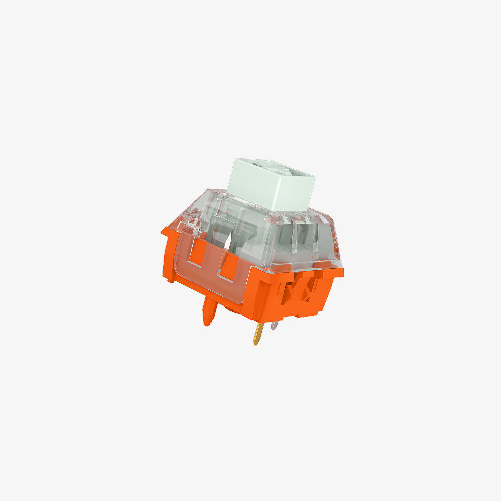 Plastic Switch